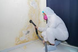 Best Mold Documentation for Insurance Claims  in Palm Beach Shores, FL